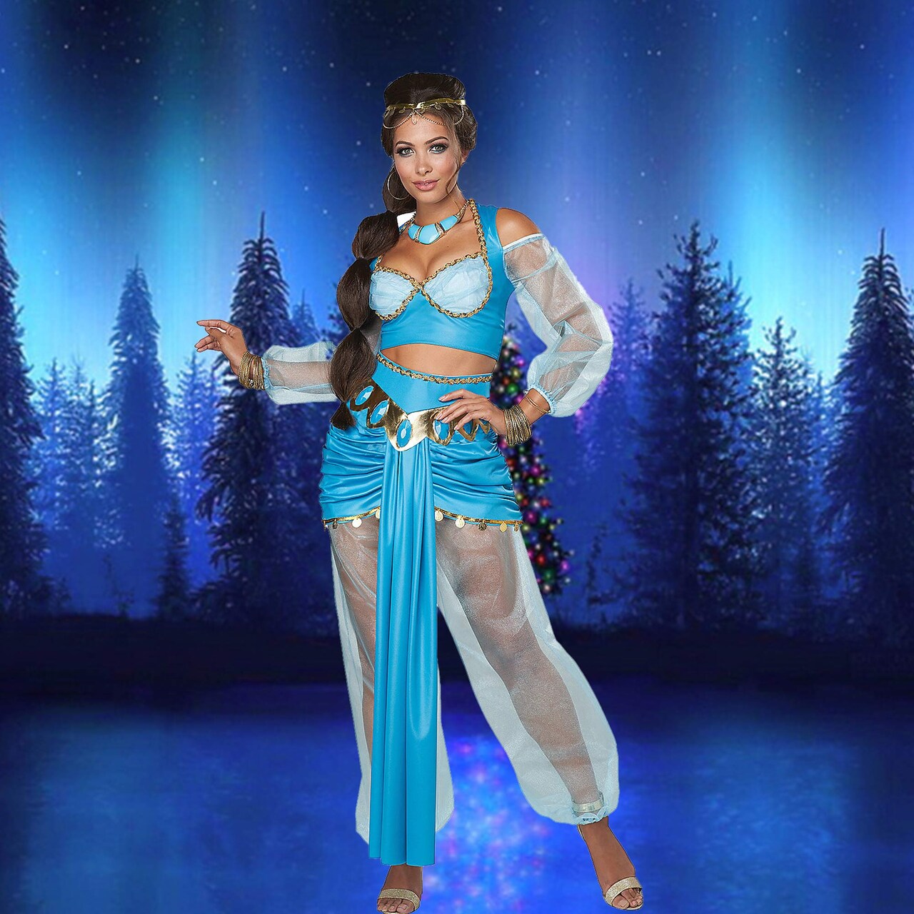 Womens Arabian Princess Adult Costume, With Turquoise Top And Sheer Harem Pants Adult Small 6-8